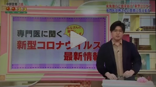 動画